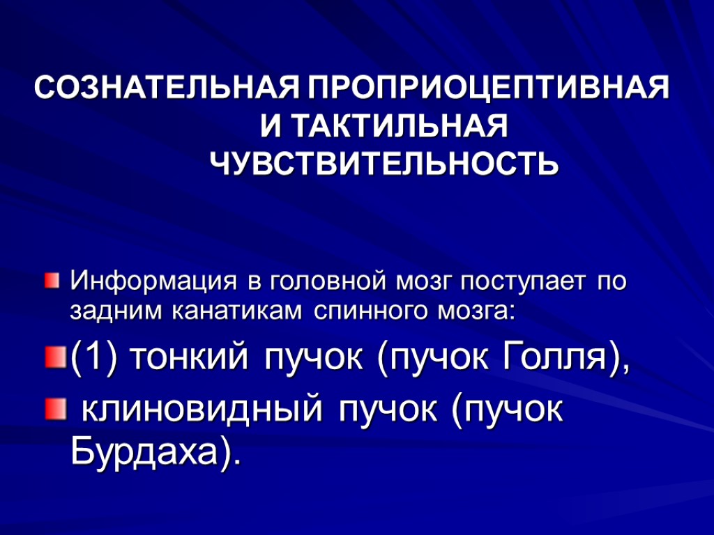 СОЗНАТЕЛЬНАЯ ПРОПРИОЦЕПТИВНАЯ И ТАКТИЛЬНАЯ ЧУВСТВИТЕЛЬНОСТЬ Информация в головной мозг поступает по задним канатикам спинного